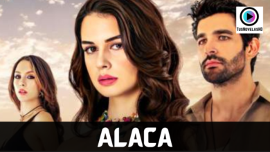 Alaca Capitulo 25